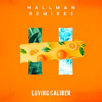 Loving Caliber — While We're Young (Hallman Remix) (Instrumental Version) Ft Hallman — обложка